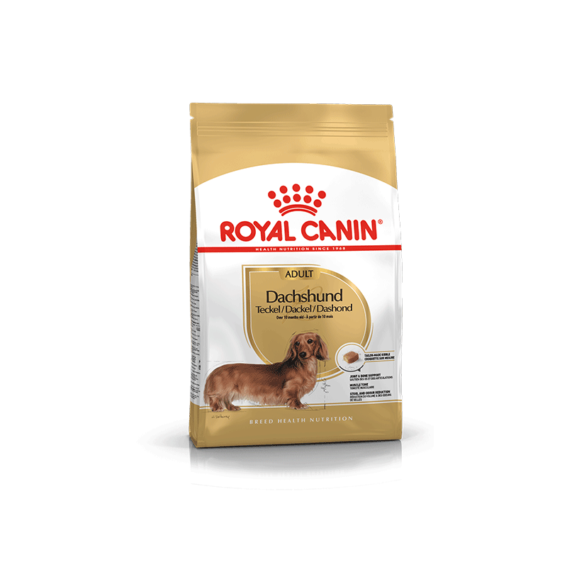 Royal Canin Dachshund Adult sausas šunų maistas