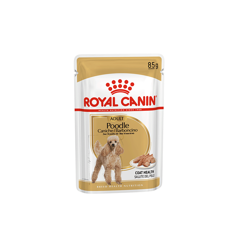 Royal Canin Poodle konservai šunims