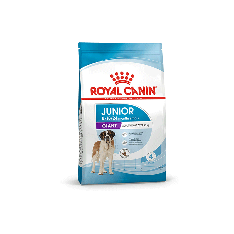 Royal Canin Giant Junior sausas šunų maistas