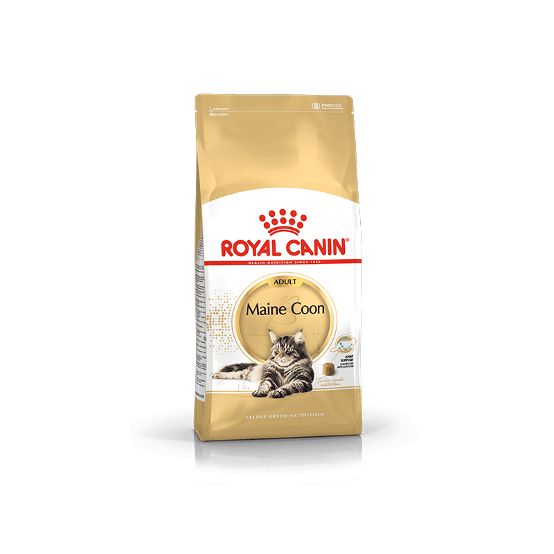Royal Canin Maine Coon sausas kačių maistas, 400 g