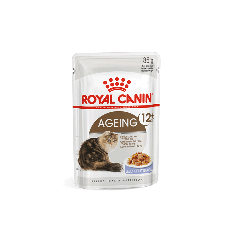 Royal Canin Ageing 12+ in Jelly konservai katėms