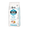 Brit Fresh Fish with Pumpkin Adult Large sausas maistas šunims