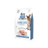 Brit Care Large Cats Power & Vitality sausas kačių maistas