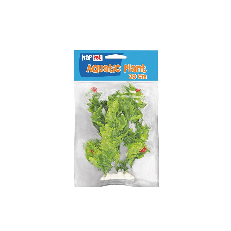 Happet akvariumų augalas žalias su žiedu