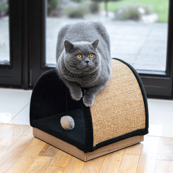 Ecomfy Half Moon smėlio spalvos draskyklė katėms