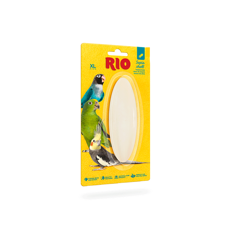 RIO sepijos kriauklė banguotosioms papūgoms, XL