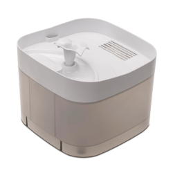 Comfy CatSpring vandens...