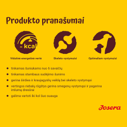 Josera Kids sausas šunų maistas, 900 g