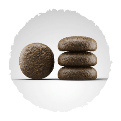 Josera Festival sausas maistas šunims, 900 g