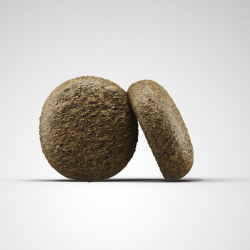 Josera Salmon & Potato sausas maistas šunims, 900 g