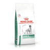 Royal Canin VD Diabetic sausas šunų maistas, 1,5 kg