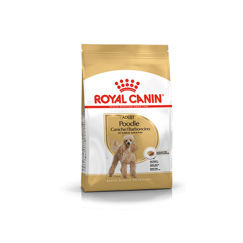 Royal Canin Poodle Adult sausas šunų maistas