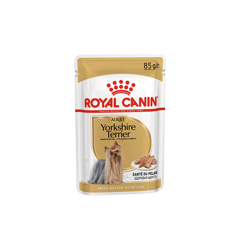 Royal Canin Yorkshire Terrier konservai šunims, 12x85 g