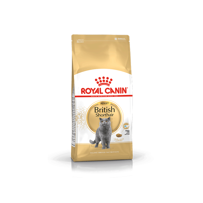 Royal Canin British Shorthair sausas kačių maistas, 400 g