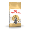Royal Canin British Shorthair sausas kačių maistas