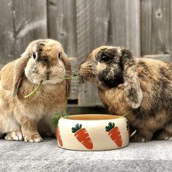 Nobby Carrot dubenėlis graužikams, 500 ml