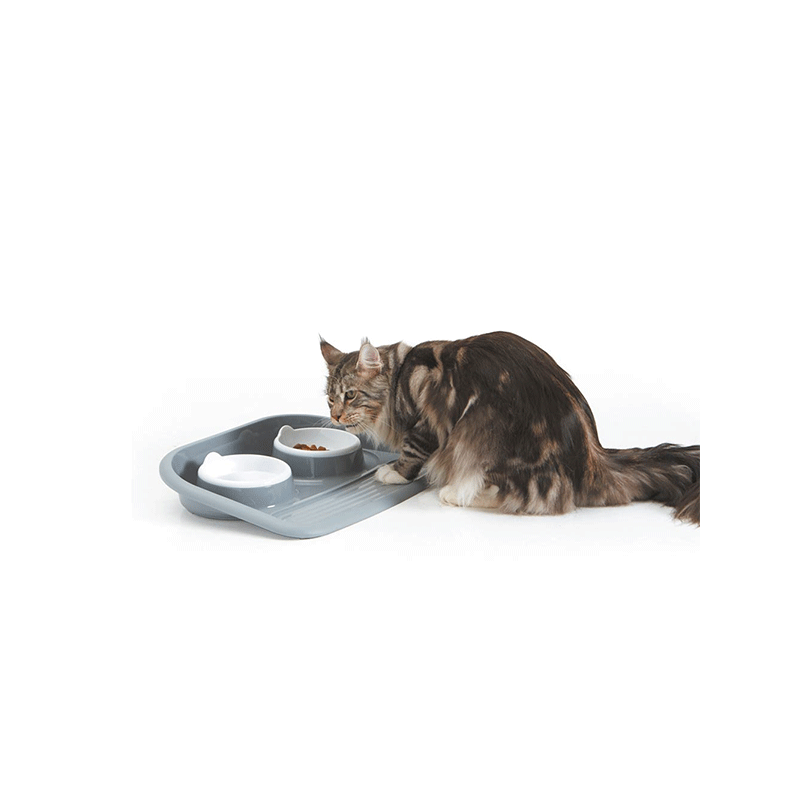 Nobby Butler dubenėlis su padėklu augintiniams