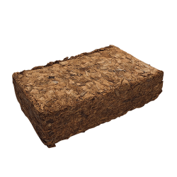 Nobby stambus kokoso...