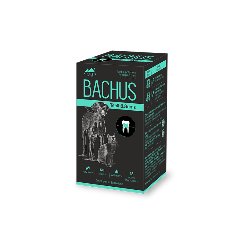 Bachus Teeth & Gums papildai šunims ir katėms, 60 tabl.