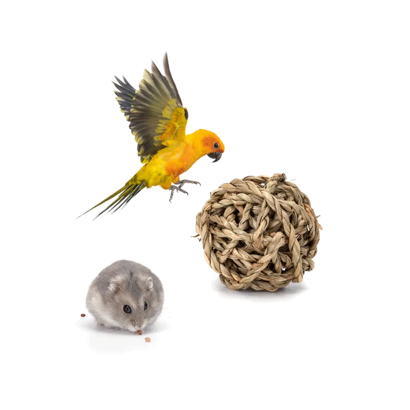 Nobleza šiaudų kamuoliukas žaislai žiurkėnams ir paukščiams