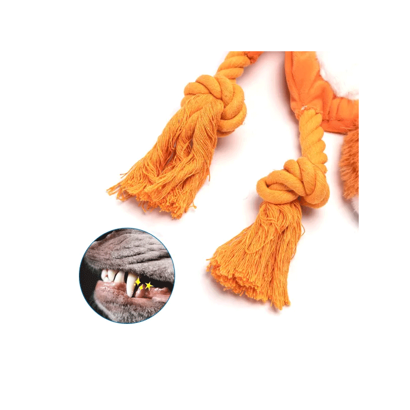 Nobleza pliušinė lapė žaislas šunims