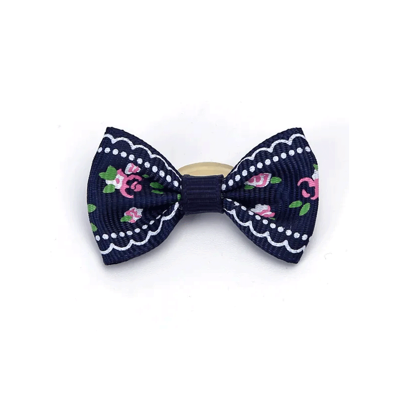 Nobleza gumytės su kaspinėliais šunims