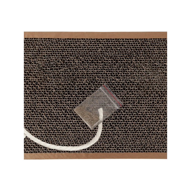 Nobleza kilimėlis–draskyklė su katžole katėms