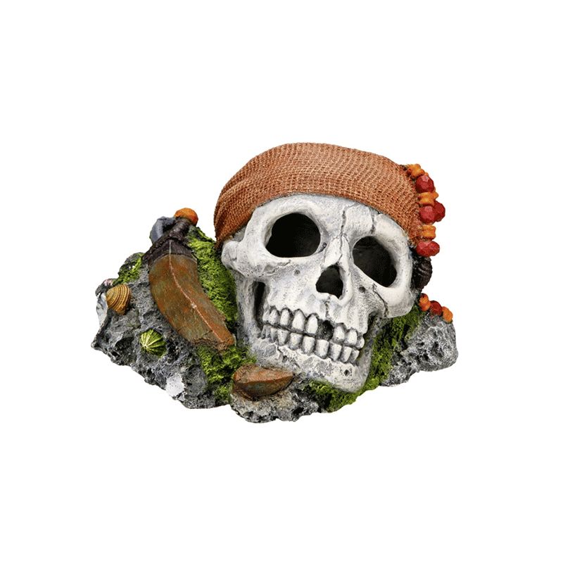 Nobby pirato kaukolė akvariumo dekoracijos