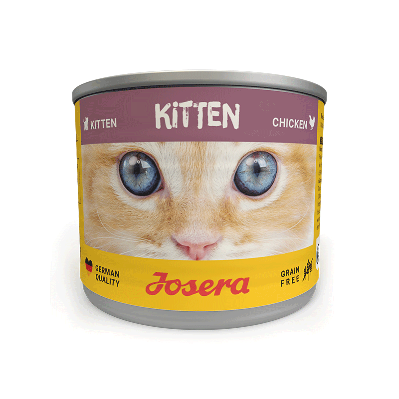 Josera Kitten konservai kačiukams, 12x85 g