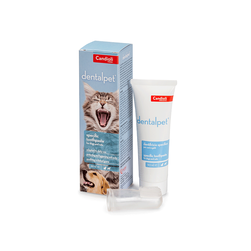 Candioli Dentalpet dantų pasta šunims ir katėms, 50 ml