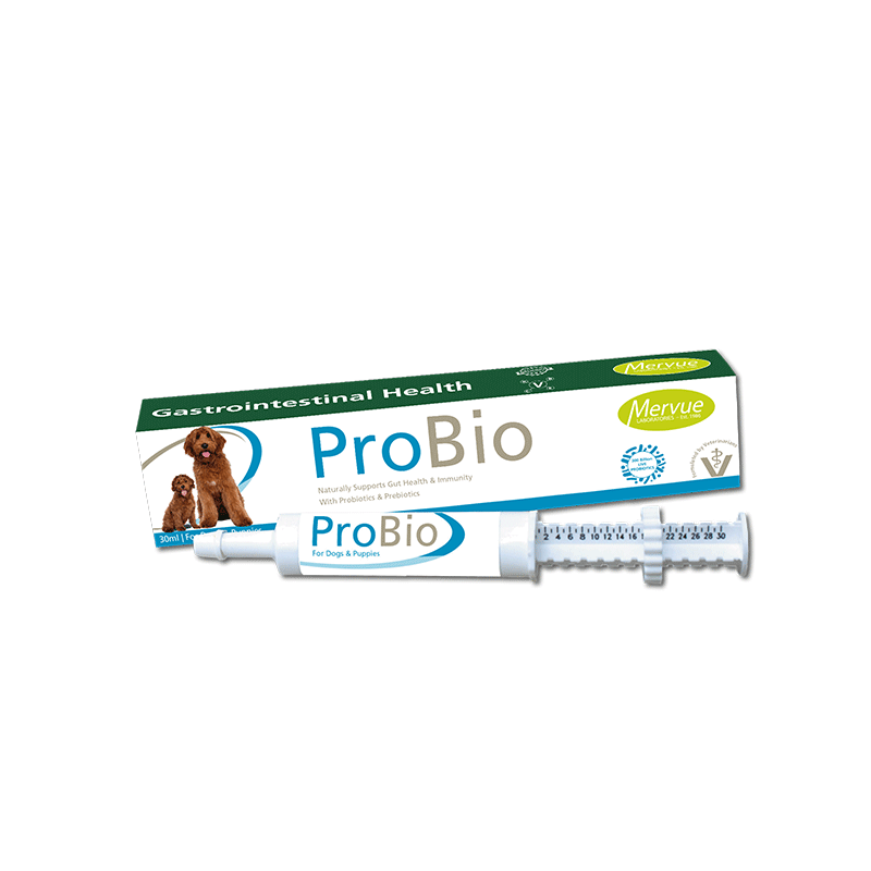 Mervue ProBio probiotinė pasta virškinimui šunims, 30 ml