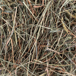 Comfy šienas su mėtomis graužikams, 700 g