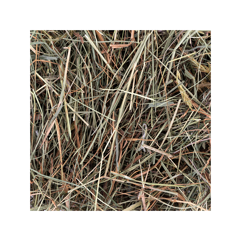 Comfy šienas su mėtomis graužikams, 700 g