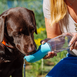 Nobby mėlyna kelioninė gertuvė augintiniams