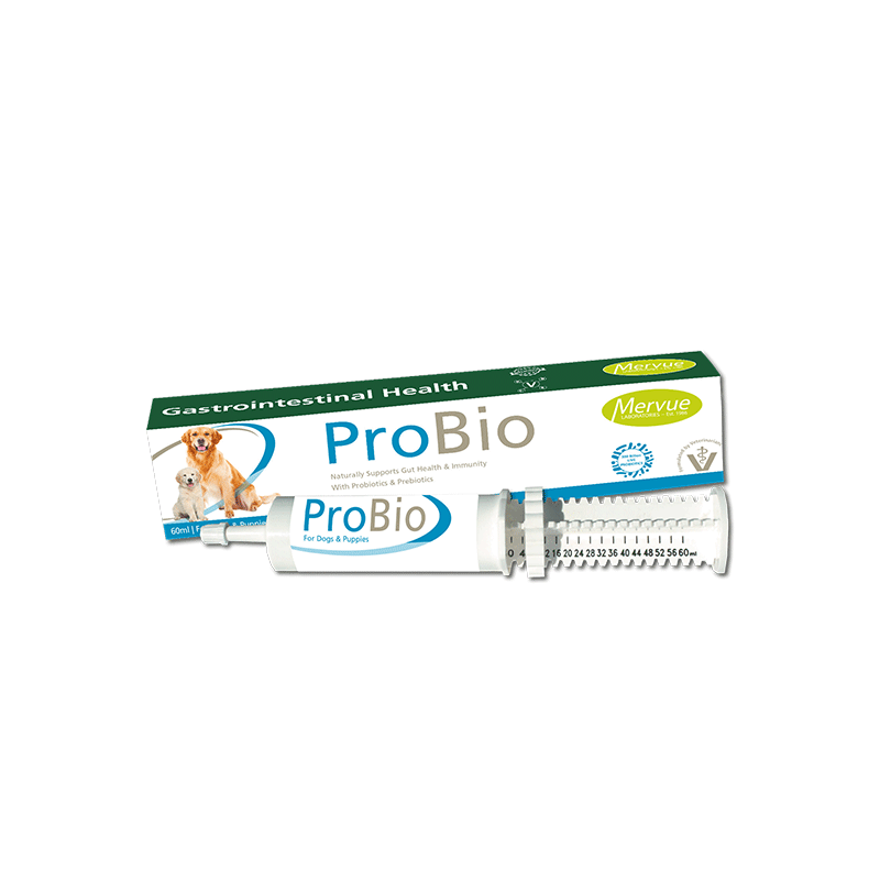 Mervue ProBio probiotinė pasta virškinimui šuniukams, 60 ml