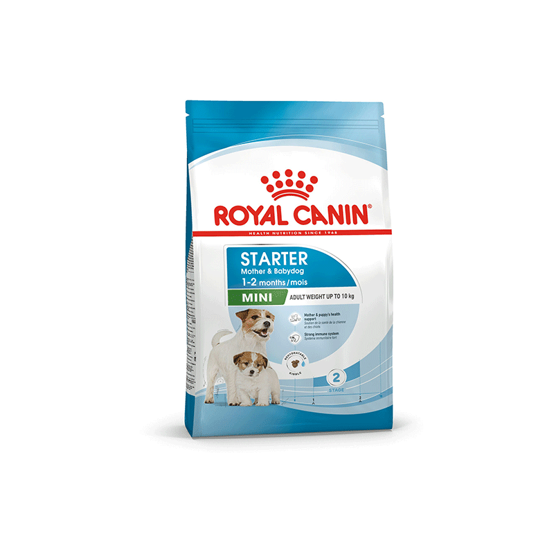 Royal Canin Mini Starter sausas maistas šunims, 1 kg