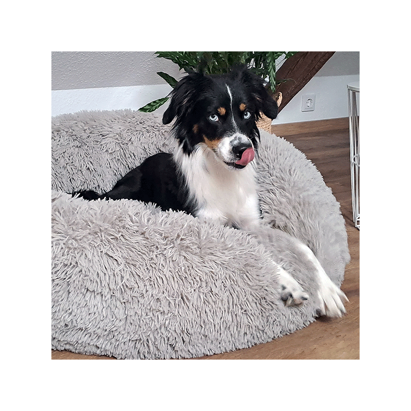 Nobby Esla pilkas guolis šunims ir katėms