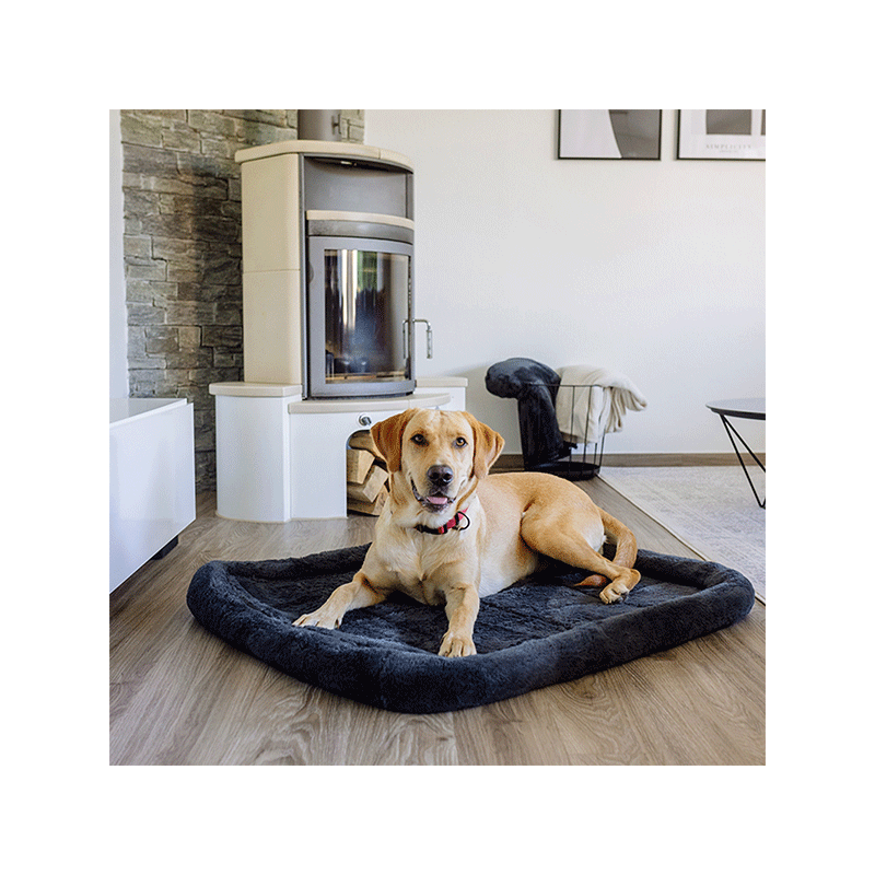 Nobby Bian pilkas guolis šunims