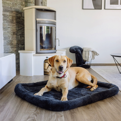 Nobby Bian pilkas guolis šunims