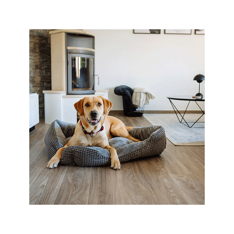 Nobby Hina pilkas guolis šunims ir katėms