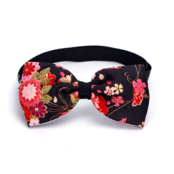 Nobleza antkaklis–varlytė...