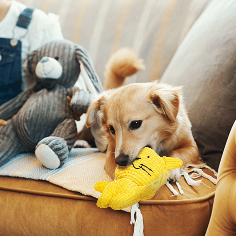 Nobleza pliušiniai žaislai šunims, 1 vnt.