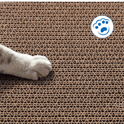 Nobleza draskymo lenta su katžole žaislas katėms