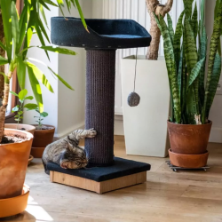 Ecomfy Alex pilka draskyklė katėms