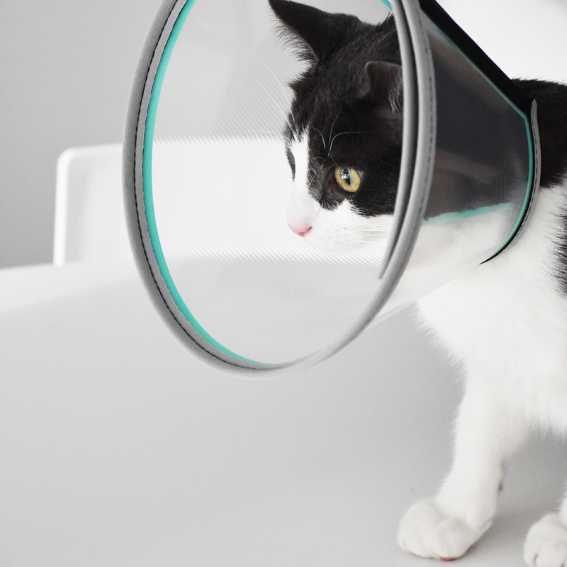 Genia Velfast apsauginis gaubtas šunims ir katėms, 15 cm