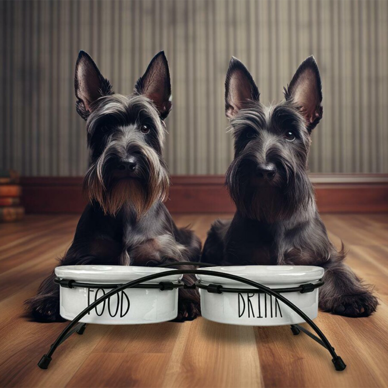 Happet balti, keraminiai dubenėliai su stovu augintiniams, 0,81l