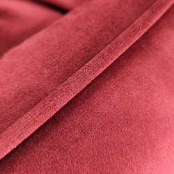 Cazo Milan raudonas guolis šunims ir katėms, 55x42 cm