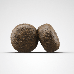 Josera Lamb & Rice sausas maistas šunims, 12,5 kg