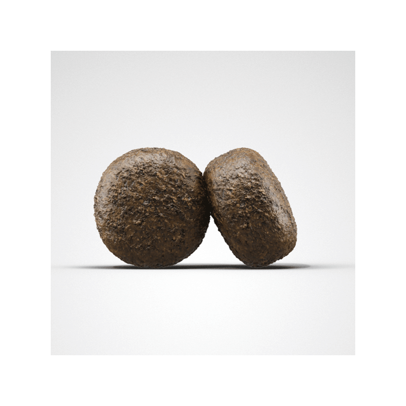 Josera Lamb & Rice sausas maistas šunims, 12,5 kg