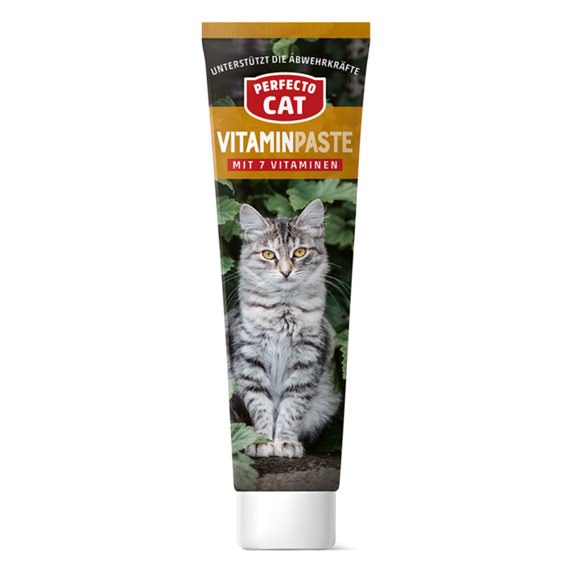 Perfecto Cat vitaminų pasta katėms, 100 g